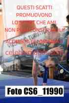 CS6_11990