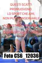 CS6_12036
