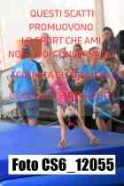 CS6_12055