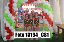 13194_CS1-