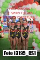 13195_CS1-