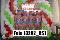 13202_CS1-