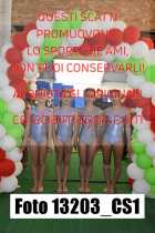13203_CS1-