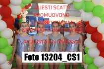 13204_CS1-