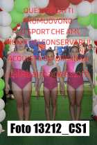 13212_CS1-