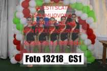 13218_CS1-