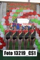 13219_CS1-