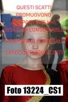 13224_CS1-
