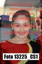 13225_CS1-