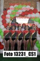 13231_CS1-