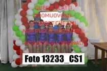 13233_CS1-