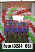 13234_CS1-