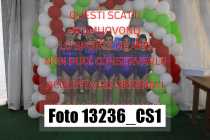13236_CS1-