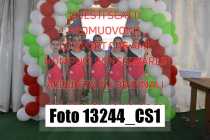 13244_CS1-
