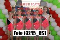 13245_CS1-