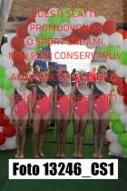 13246_CS1-