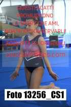13256_CS1-