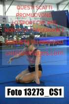 13273_CS1-