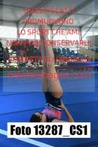 13287_CS1-