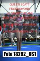 13292_CS1-