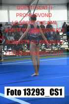 13293_CS1-
