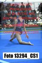 13294_CS1-