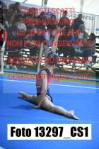13297_CS1-