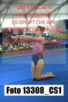 13308_CS1-