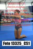 13325_CS1-