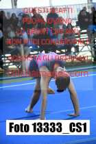 13333_CS1-