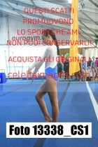 13338_CS1-