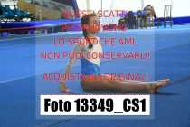 13349_CS1-