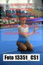 13351_CS1-