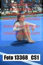 13368_CS1-