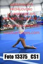 13375_CS1-
