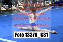 13376_CS1-