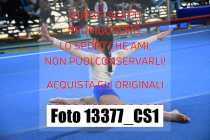 13377_CS1-