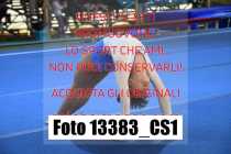 13383_CS1-