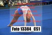 13384_CS1-