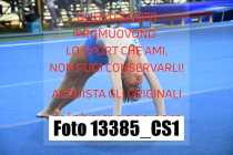 13385_CS1-