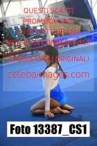 13387_CS1-