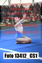 13412_CS1-