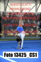 13425_CS1-