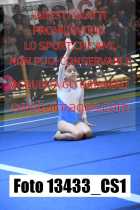 13433_CS1-