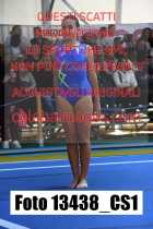 13438_CS1-