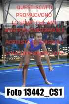 13442_CS1-