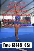 13445_CS1-