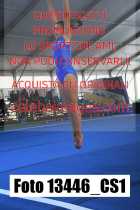 13446_CS1-