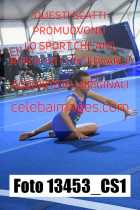 13453_CS1-