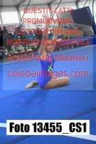 13455_CS1-